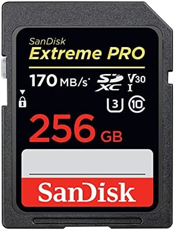Cartão SanDisk 256GB Extreme PRO SDXC UHS-I - C10, U3, V30, 4K UHD, cartão SD - SDSDXXY-256G-GN4IN